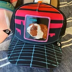 Goorin Bros | Accessories | Goorin Bros Trucker Hat Vibing  display picture 3
